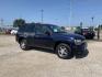 2008 Blue /gray Chevrolet TrailBlazer LS (1GNDS13S682) with an L6, 4.2L; DOHC engine, AUTOMATIC transmission, located at 1830 North Belt Line Road, Irving, TX, 75061, (469) 524-0199, 32.834373, -96.993584 - CASH ONLY CASH ONLY CASH ONLY PRICE INCLUDES TAX TITLE AND LICENSE - Photo#6