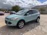2013 Blue /Tan Ford Escape SE FWD (1FMCU0GX9DU) with an 1.6L L4 DOHC 16V engine, Automatic transmission, located at 1830 North Belt Line Road, Irving, TX, 75061, (469) 524-0199, 32.834373, -96.993584 - Photo#2