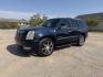2007 blue /Tan Cadillac Escalade 2WD (1GYEC63877R) with an 6.2L V8 OHV 16V engine, AUTOMATIC transmission, located at 1830 North Belt Line Road, Irving, TX, 75061, (469) 524-0199, 32.834373, -96.993584- Photo#2