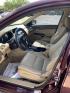 2010 Maroon /Tan Honda Accord EX-L V-6 Sedan AT (5KBCP3F85AB) with an 3.5L V6 SOHC 24V engine, Automatic transmission, located at 1830 North Belt Line Road, Irving, TX, 75061, (469) 524-0199, 32.834373, -96.993584- Photo#7