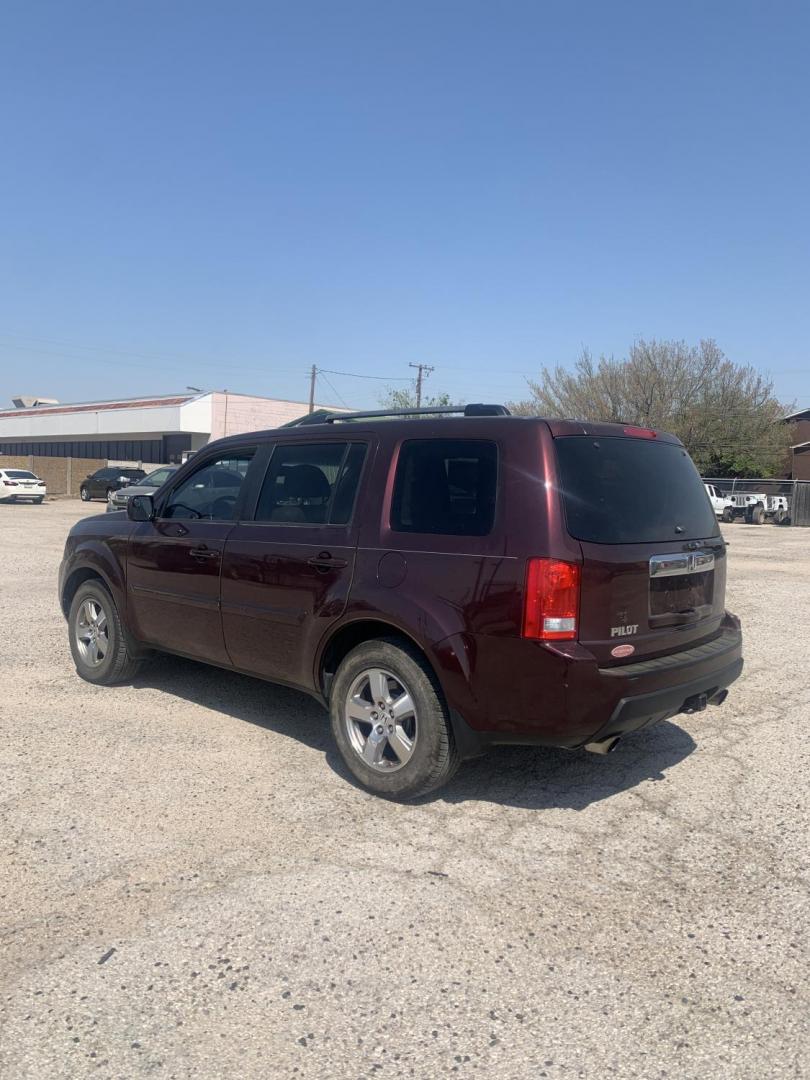 2010 Maroon /Tan Honda Pilot EX-L 2WD AT (5FNYF3H51AB) with an 3.5L V6 SOHC 24V engine, Automatic transmission, located at 1830 North Belt Line Road, Irving, TX, 75061, (469) 524-0199, 32.834373, -96.993584 - Photo#3