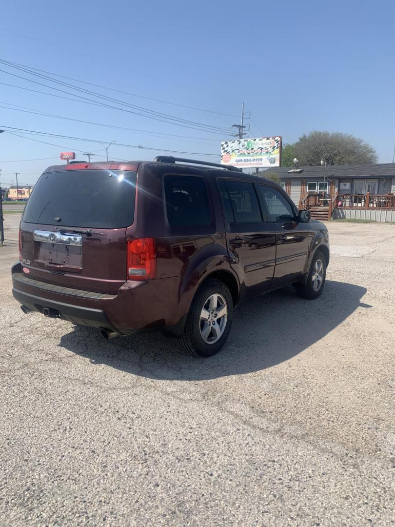 2010 Maroon /Tan Honda Pilot EX-L 2WD AT (5FNYF3H51AB) with an 3.5L V6 SOHC 24V engine, Automatic transmission, located at 1830 North Belt Line Road, Irving, TX, 75061, (469) 524-0199, 32.834373, -96.993584 - Photo#5