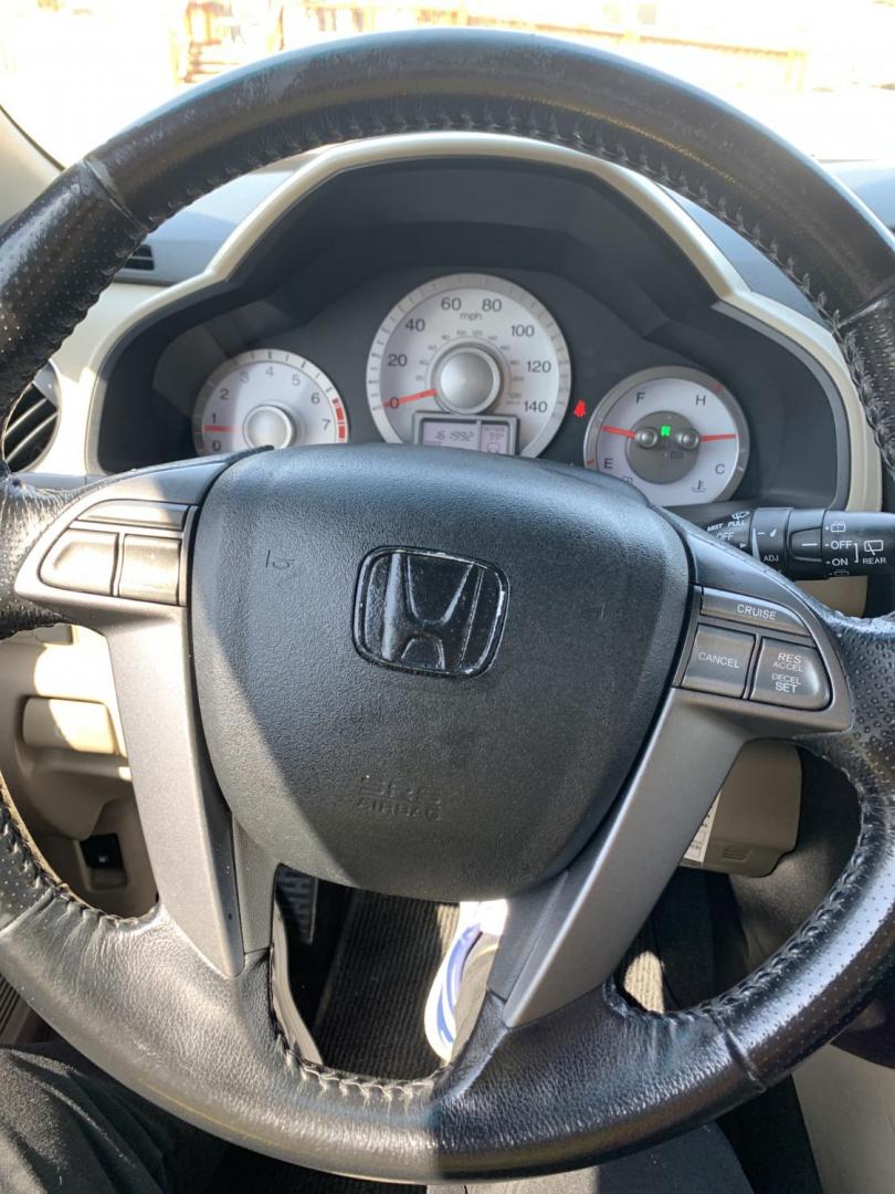 2010 Maroon /Tan Honda Pilot EX-L 2WD AT (5FNYF3H51AB) with an 3.5L V6 SOHC 24V engine, Automatic transmission, located at 1830 North Belt Line Road, Irving, TX, 75061, (469) 524-0199, 32.834373, -96.993584 - Photo#17